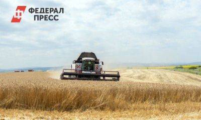 Глава агрохолдинга «Ситно»: «Уборка зерновых будет завершена, хоть и с опозданием»
