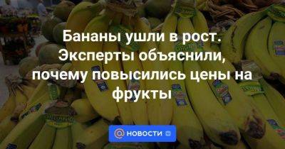 Бананы ушли в рост. Эксперты объяснили, почему повысились цены на фрукты