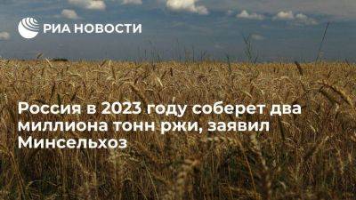 Минсельхоз РФ: валовый сбор ржи в 2023 году составит порядка двух миллионов тонн