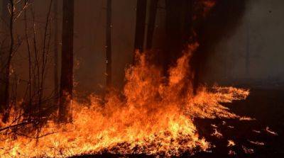 В заповеднике «Аскания-Нова» в Херсонской области возник масштабный пожар – Минсреды