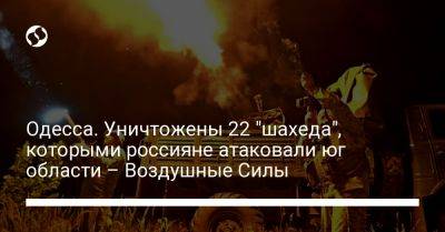 Одесса. Уничтожены 22 "шахеда", которыми россияне атаковали юг области – Воздушные силы