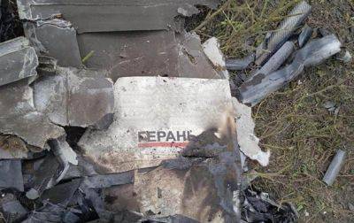 В Одесской области уничтожены десятки "шахедов"
