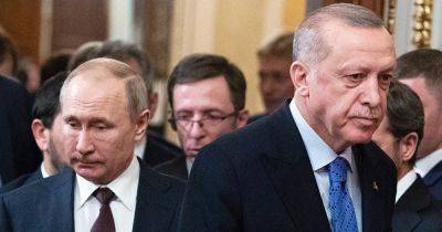 Встреча Эрдогана и Путина: почему переговоры нужны России больше, чем Турции