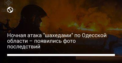Ночная атака "шахедами" по Одесской области – появились фото последствий