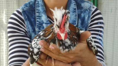 В харьковском экопарке поселились экзотические птицы (видео)