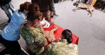 Пограничников учат оказывать первую медпомощь четвероногим бойцам (ФОТО)