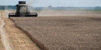 Россияне придумали очередную схему по краже украинского зерна — ЦНС