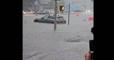 Джон Ф.Кеннеди - "Гигантский бассейн": в Нью-Йорке из-за обильных ливней ввели чрезвычайное положение (фото, видео) - focus.ua - Австрия - США - Украина - Нью-Йорк - Хорватия - Словения - Нью-Йорк