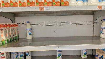 Дефицит молока в Израиле: продукция из Турции не появится до Рош ха-Шана