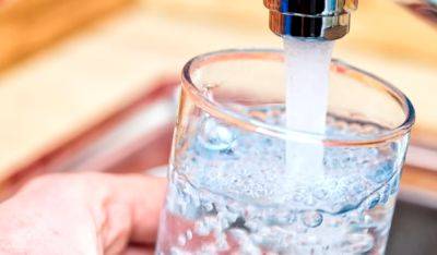Водные процедуры в вашем стакане: можно ли пить воду, если в стакан угодила муха
