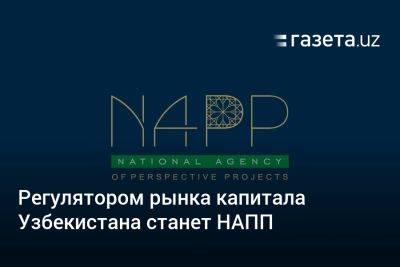 НАПП становится регулятором рынка капитала Узбекистана