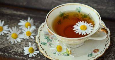 Не только вкусный напиток: названы 11 полезных свойств чая