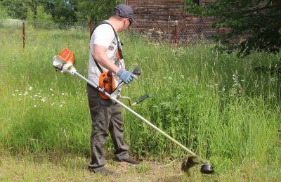 Мульчирование почвы на огороде: как правильно использовать скошенную траву для улучшения свойств грунта