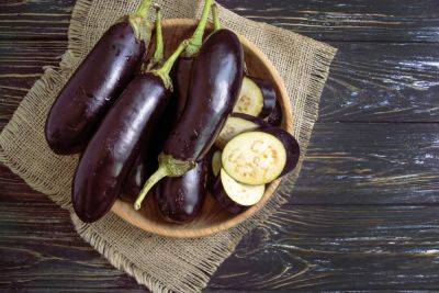 Польза и вред баклажанов – диетолог рассказал о сезонных овощах и блюдах из них