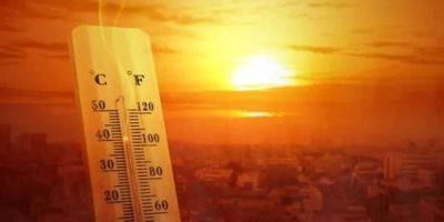 Почти все в августе. За лето в Киеве были установлены 13 температурных рекордов