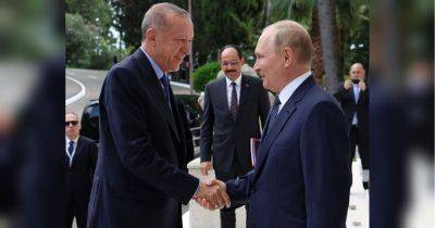путин решился отказать Эрдогану: переговоры в Сочи по зерновой сделке оказались провальными