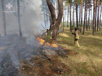 В результате обстрела горел лес и трава в Купянском районе Харьковской области
