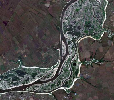 Подрыв Каховской ГЭС - территория водохранилища покрылась растительностью - фото