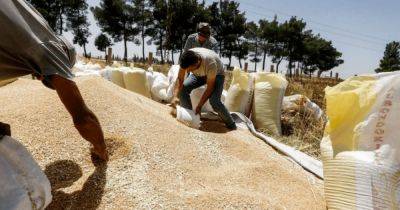 Торгуют со всем миром: Россия начала экспортировать рекордные объемы зерна