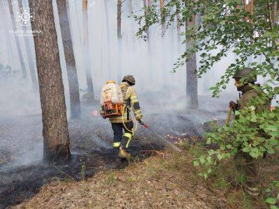 Три пожара произошло на Харьковщине за сутки из-за обстрелов