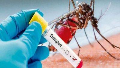 В Бангладеш от лихорадки денге скончались более 600 человек - dialog.tj - Бангладеш - Дакка - Скончался