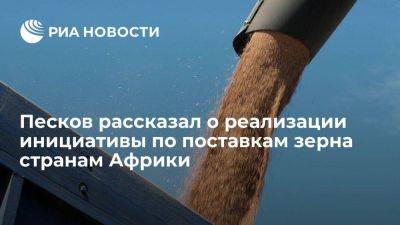 Песков: РФ реализует идею по поставке миллиона тонн зерна пяти странам Африки