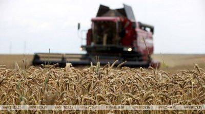 Минсельхозпрод: планируем получить более 9 млн тонн зерна с учетом рапса и кукурузы