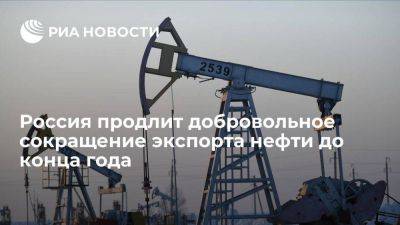 Новак: РФ продлит сокращение экспорта нефти на 300 тыс баррелей до конца года