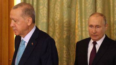 Путин и Эрдоган не договорились о возобновлении зерновой сделки