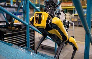Робопсы Boston Dynamics помогли в выводе из эксплуатации АЭС в Шотландии