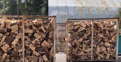 Начинается бесплатная раздача дров: куда обращаться — не теряйте время