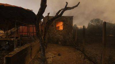 В Греции подсчитывают ущерб от лесных пожаров