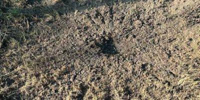 Войска РФ выпустили кассетные боеприпасы по селу в Харьковской области: есть разрушения