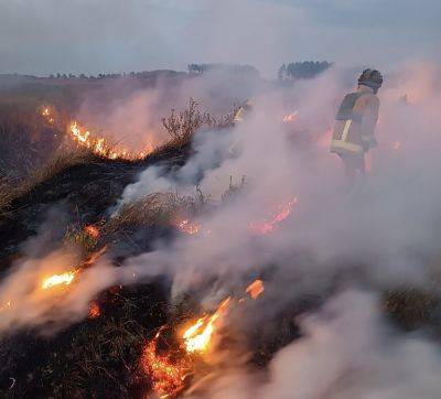 Дважды горели трава и лес в Харьковской области в результате обстрела – ГСЧС