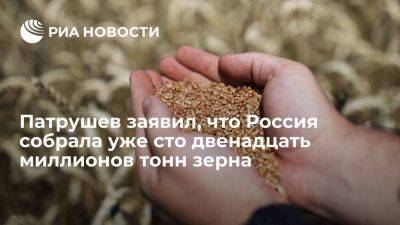 Патрушев: сбор зерновых в России составил уже сто двенадцать миллионов тонн