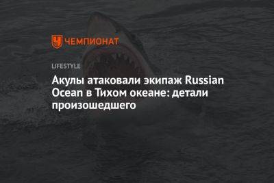 Акулы атаковали экипаж российской кругосветной экспедиции Russian Ocean в Тихом океане