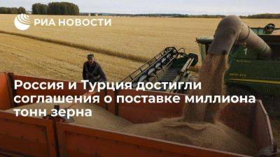 РФ и Турция достигли принципиального соглашения о поставке миллиона тонн зерна