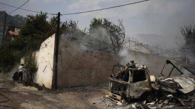 Греция после пожаров: труды всей жизни превратились в пепел