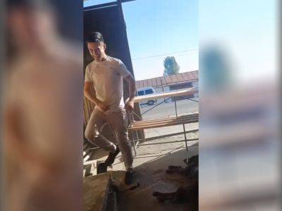 Страна живодеров? В соцсетях появилось очередное видео, где молодой узбекистанец издевается над мертвой собакой. Видео