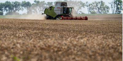 В Евросоюзе не хотят продлевать эмбарго на украинское зерно, несмотря на призывы отдельных стран