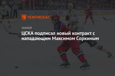 ЦСКА подписал новый контракт с нападающим Максимом Соркиным