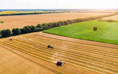 Урожайность ранних зерновых бьет рекорды
