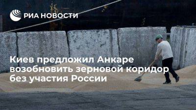 Боднар: Киев предложил Анкаре возобновить зерновой коридор без участия России