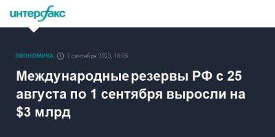 Международные резервы РФ с 25 августа по 1 сентября выросли на $3 млрд