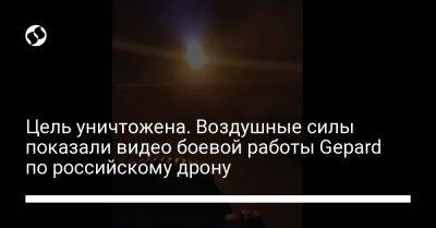 Цель уничтожена. Воздушные силы показали видео боевой работы Gepard по российскому дрону
