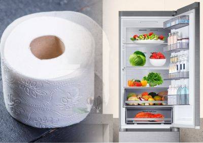 Как сохранить свежесть в холодильнике с помощью рулона туалетной бумаги – лайфхак