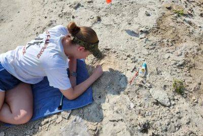 В США девочка нашла череп кита, которому 34 миллиона лет