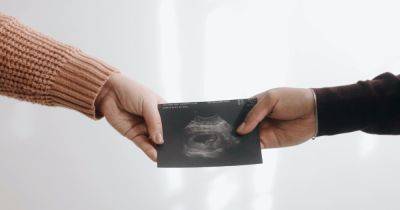 Обманули природу: ученые вырастили эмбрионы без участия людей (видео)