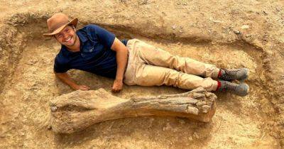 Самая большая находка за 15 лет: в Кении палеонтолог обнаружил гигантскую кость доисторического слона