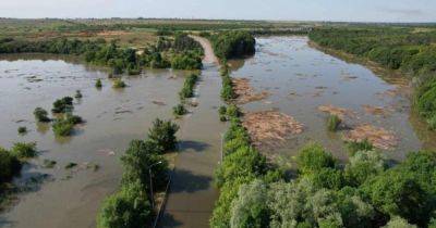 Подрыв Каховской ГЭС: Украина потеряла до 40% запасов пресной воды, — Укргидроэнерго (видео)